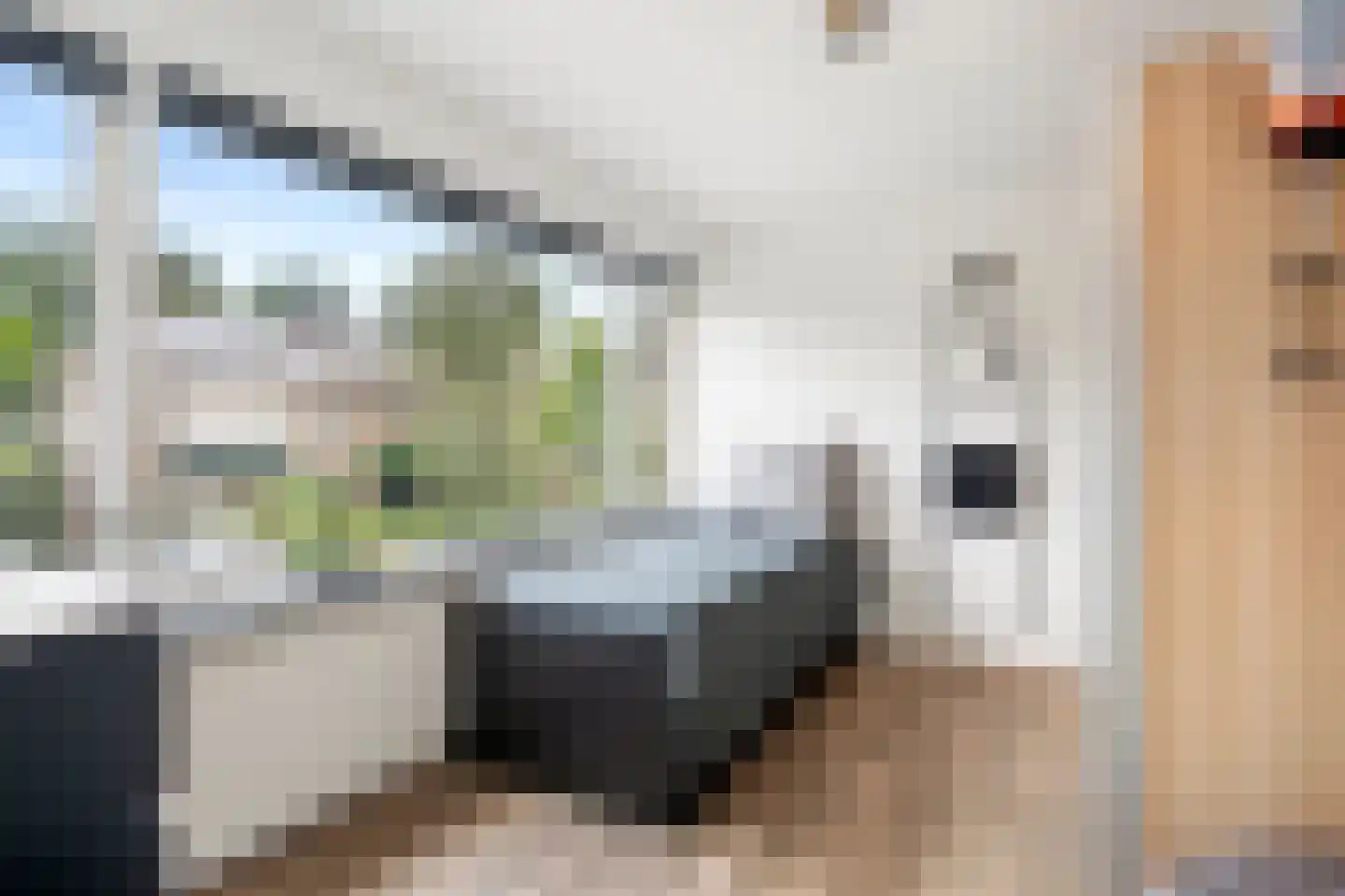 Wilhelminalaan 9 Bennekom thumbnail 37
