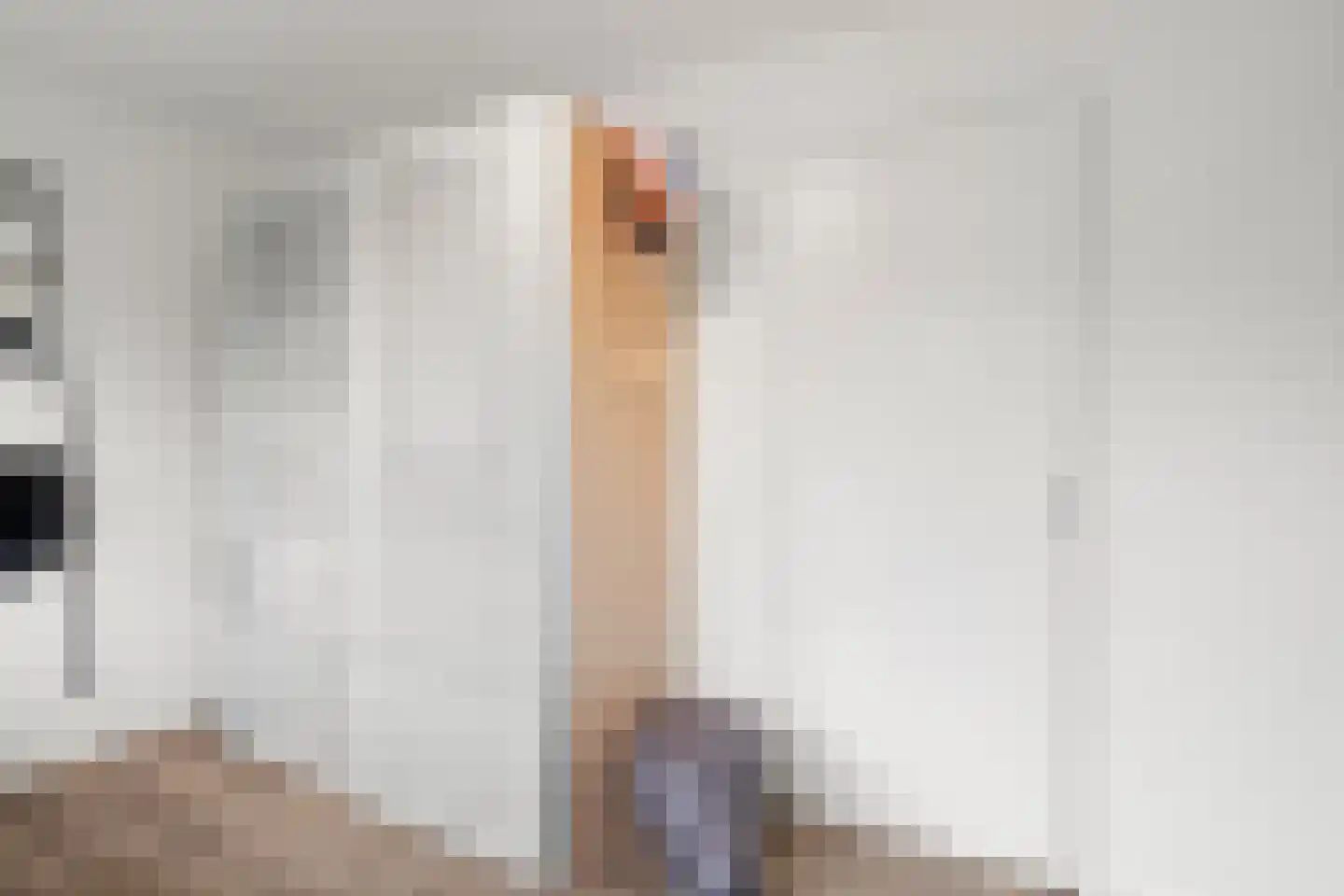 Wilhelminalaan 9 Bennekom thumbnail 38