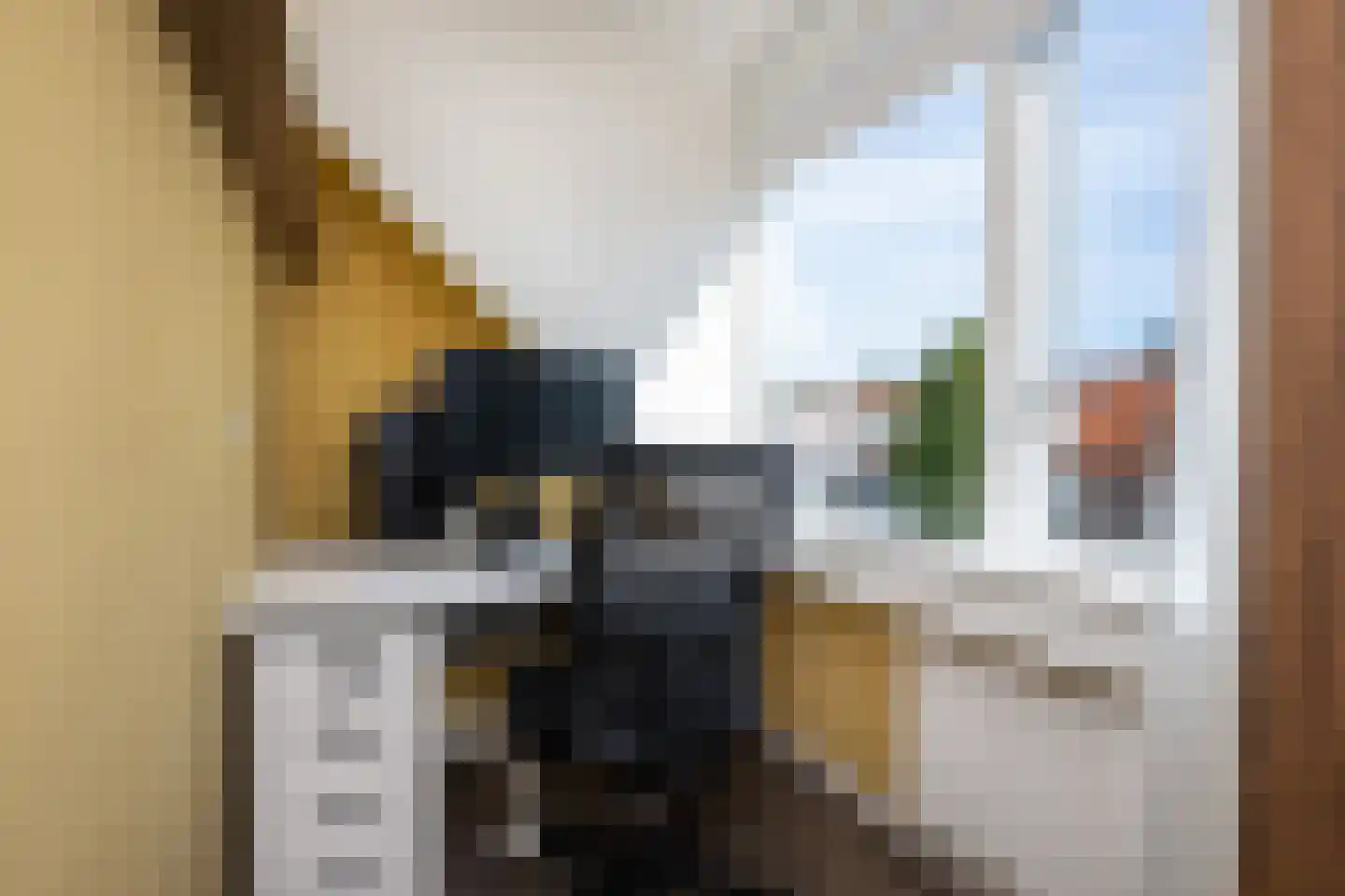 Wilhelminalaan 9 Dirksland thumbnail 27