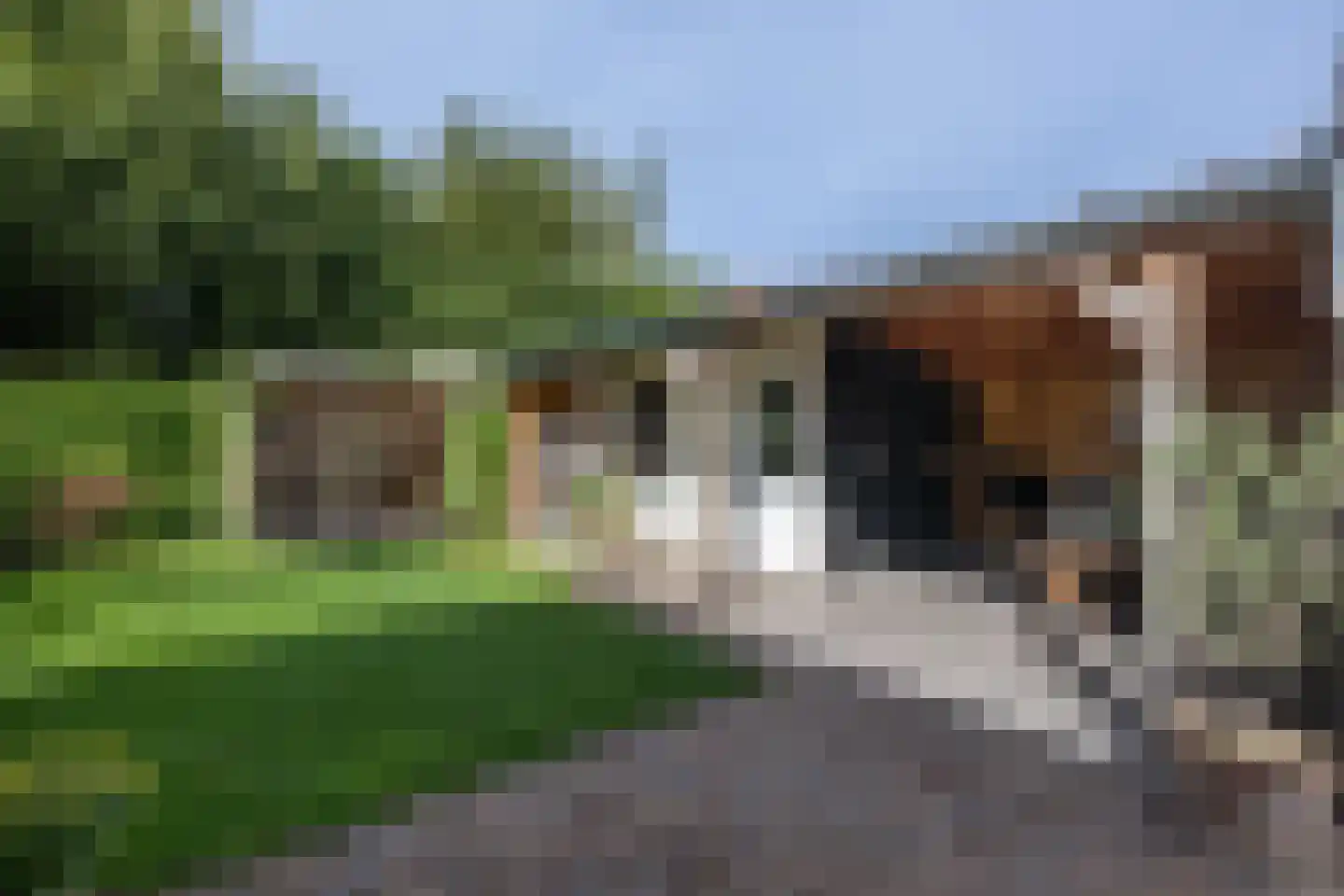 Wilhelminalaan 9 Dirksland thumbnail 31