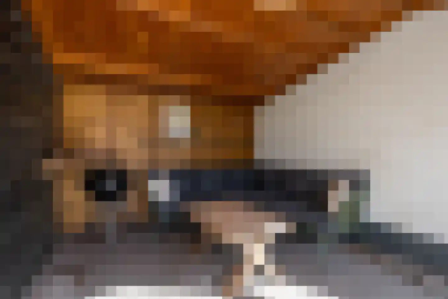 Wilhelminalaan 9 Dirksland thumbnail 32