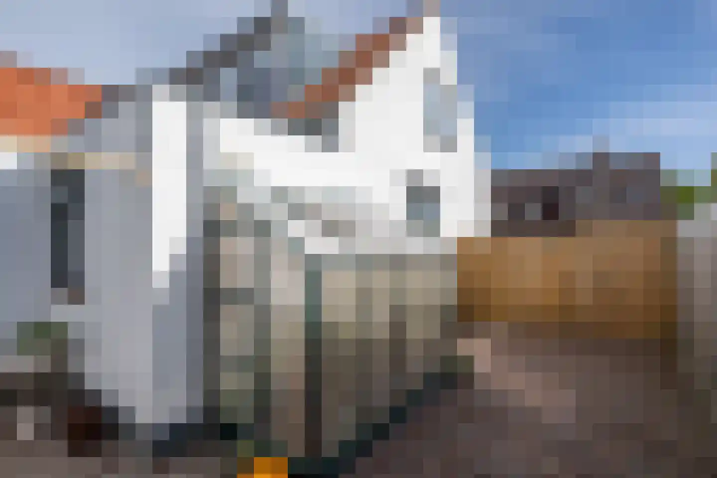 Wilhelminalaan 9 Dirksland thumbnail 36