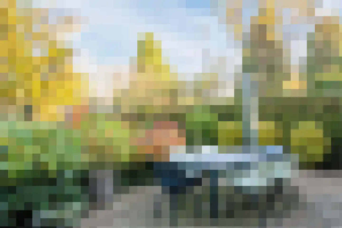 Wilhelminalaan 92 Roermond thumbnail 43