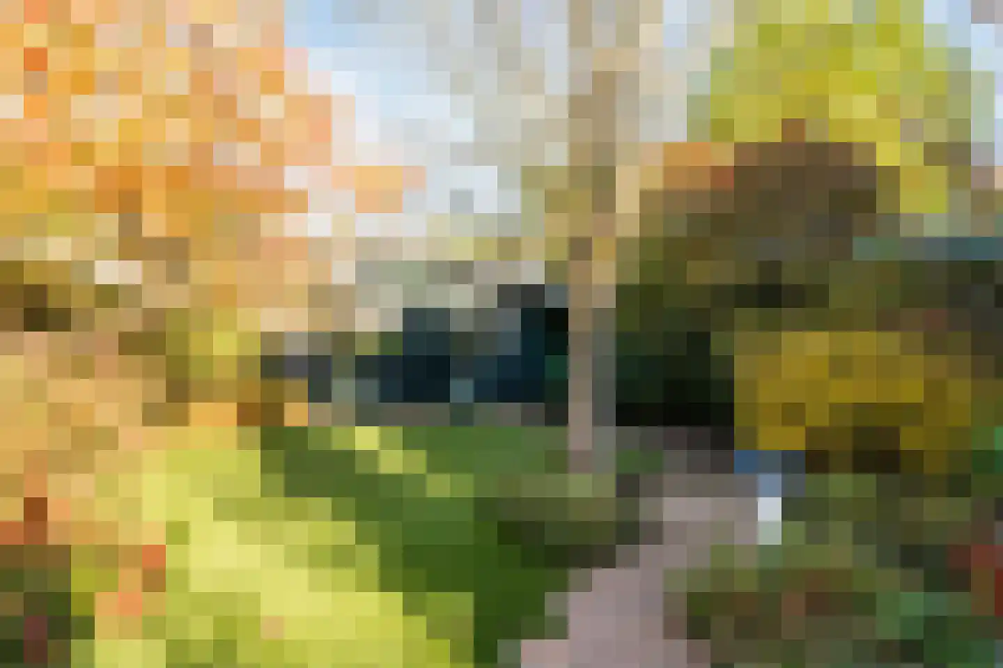 Wilhelminalaan 92 Roermond thumbnail 46