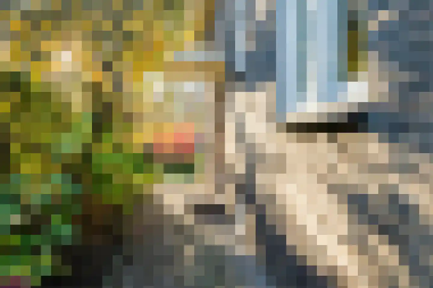 Wilhelminalaan 92 Roermond thumbnail 7