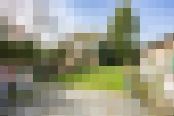 Wilhelminalaan 92 Zuidhorn thumbnail 32