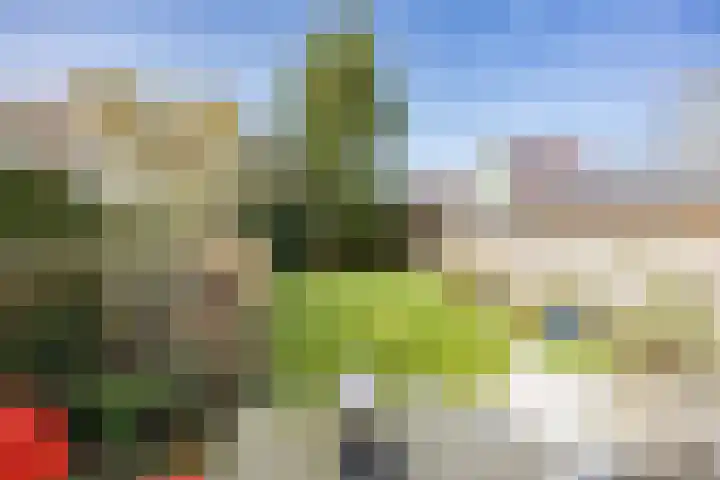 Wilhelminalaan 92 Zuidhorn thumbnail 34