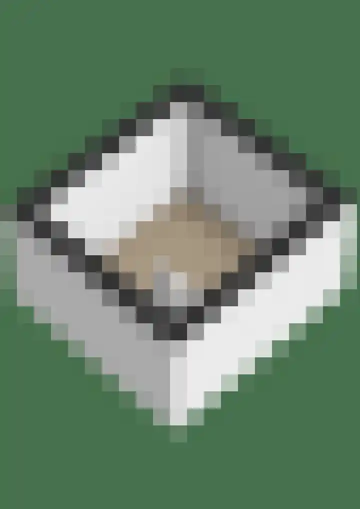Wilhelminalaan 92 Zuidhorn thumbnail 44
