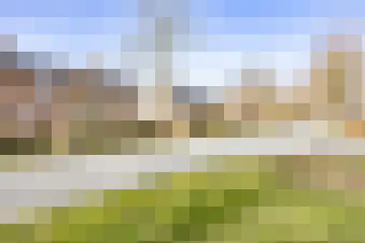 Wilhelminalaan 92 Zuidhorn thumbnail 6