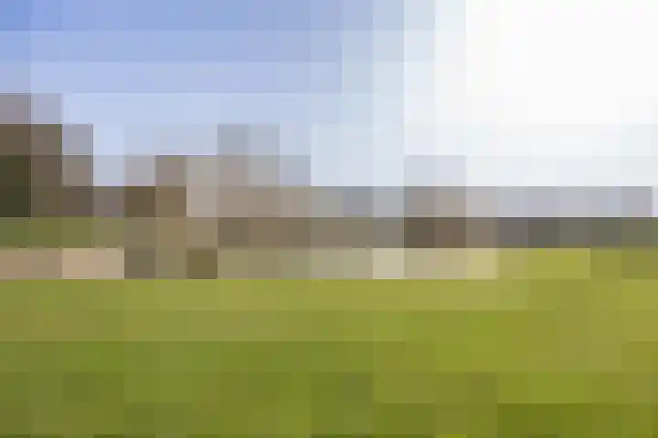 Wilhelminalaan 92 Zuidhorn thumbnail 7