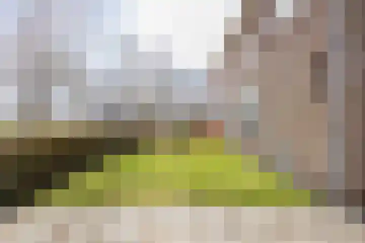 Wilhelminalaan 92 Zuidhorn thumbnail 8