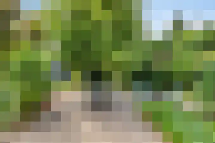Wilhelminalaan 96 Roermond thumbnail 37