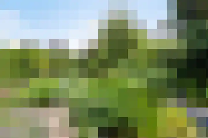 Wilhelminalaan 96 Roermond thumbnail 39
