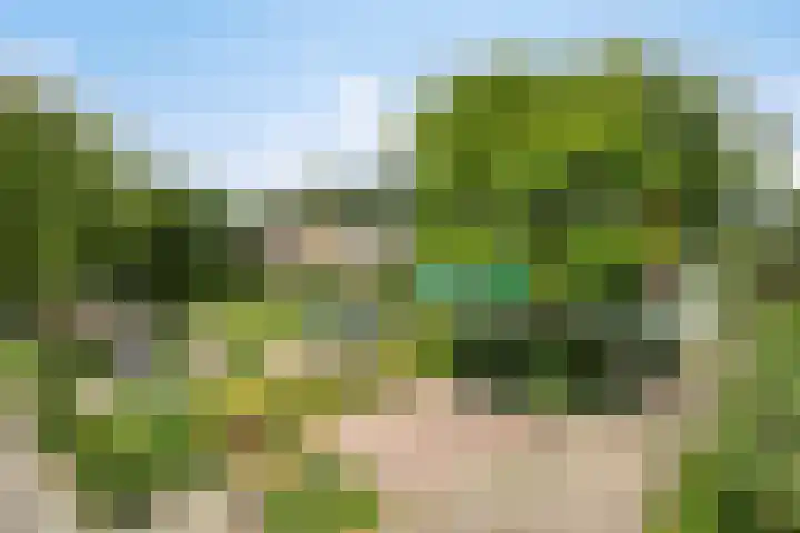 Wilhelminalaan 96 Roermond thumbnail 43
