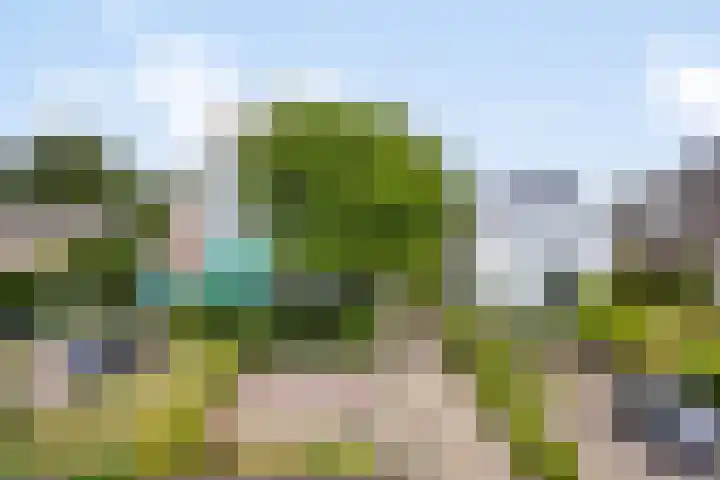 Wilhelminalaan 96 Roermond thumbnail 48