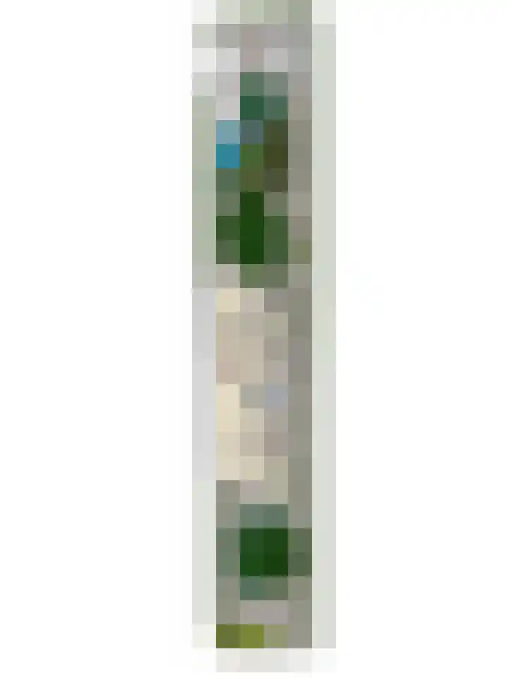 Wilhelminalaan 96 Roermond thumbnail 50