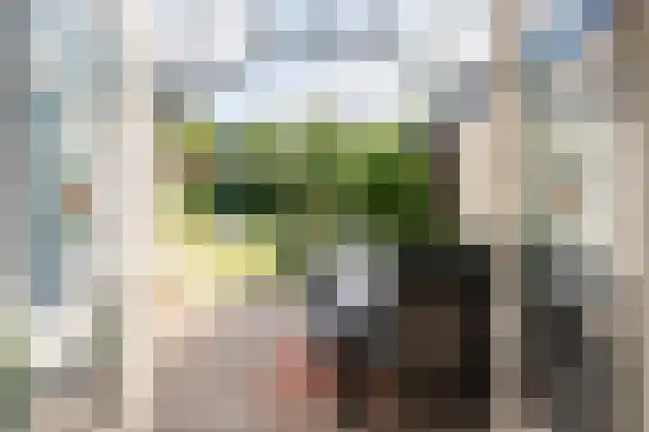 Wilhelminalaan 98 Roermond thumbnail 11