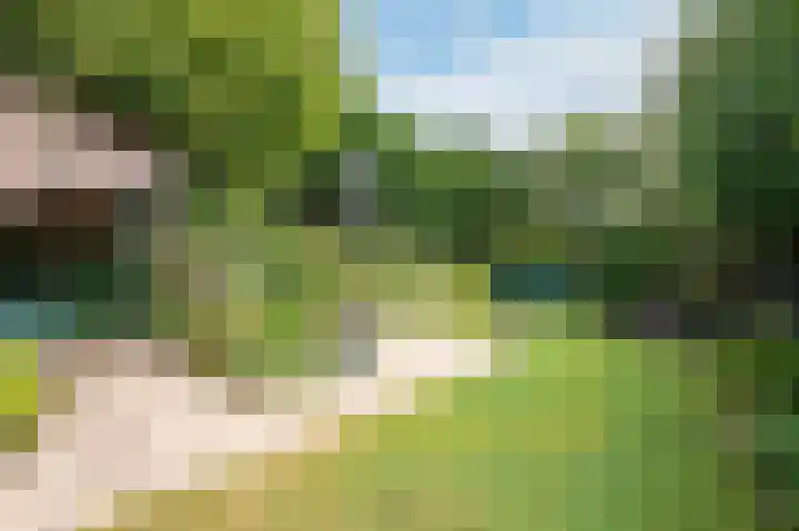 Wilhelminalaan 98 Roermond thumbnail 31