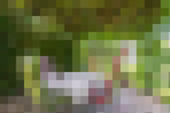 Wilhelminalaan 98 Roermond thumbnail 32