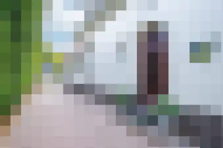 Wilhelminalaan 98 Roermond thumbnail 36