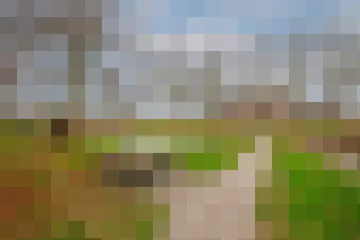 Wilhelminapark 1 Lopik thumbnail 38