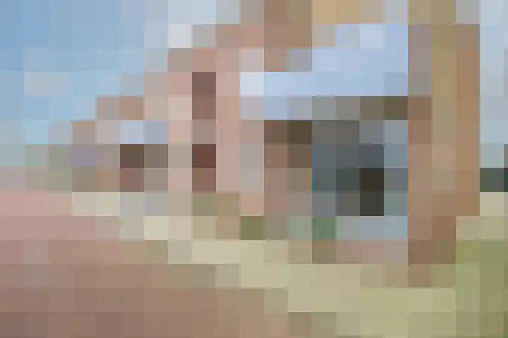 Wilhelminapark 1 Lopik thumbnail 7