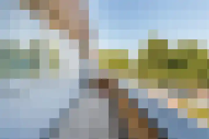 Wilhelminapark 10 Lopik thumbnail 30