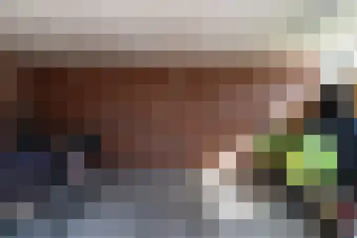 Wilhelminapark 10 Lopik thumbnail 33
