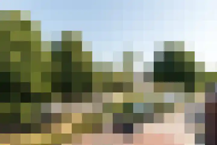 Wilhelminapark 10 Lopik thumbnail 34