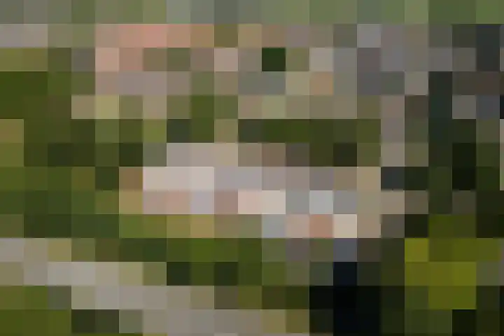 Wilhelminapark 10 Lopik thumbnail 37