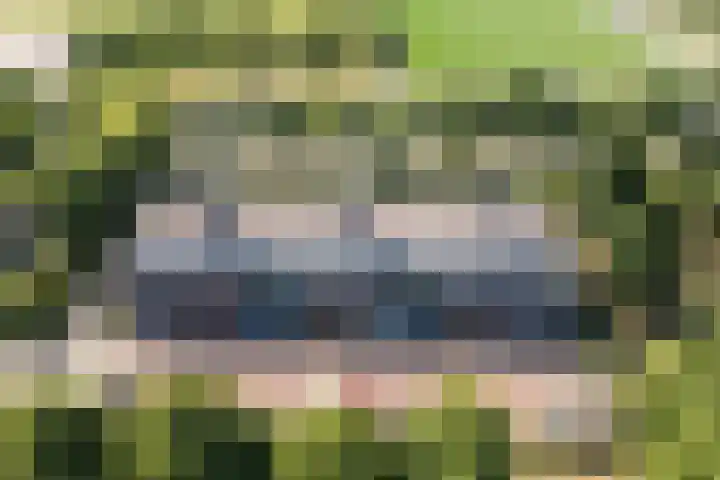 Wilhelminapark 10 Lopik thumbnail 5