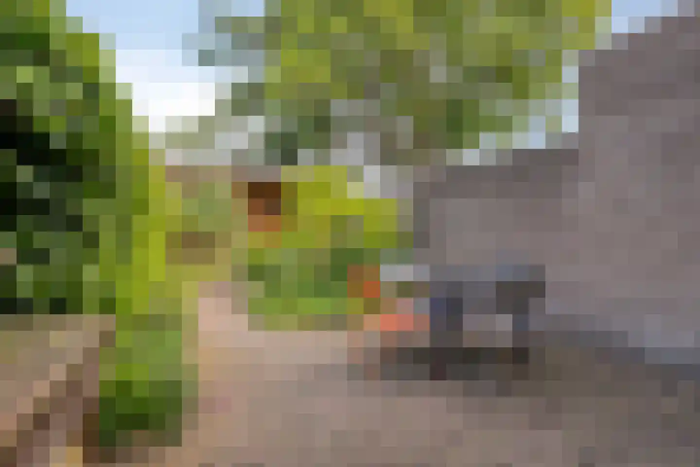Wilhelminapark 101 Tilburg thumbnail 44