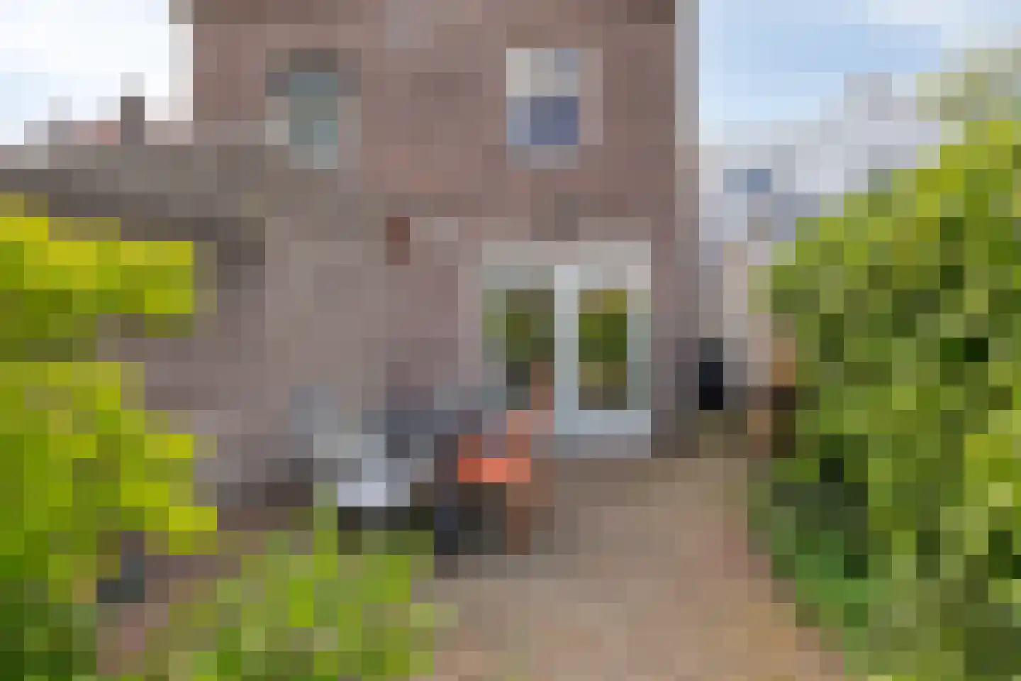 Wilhelminapark 101 Tilburg thumbnail 46