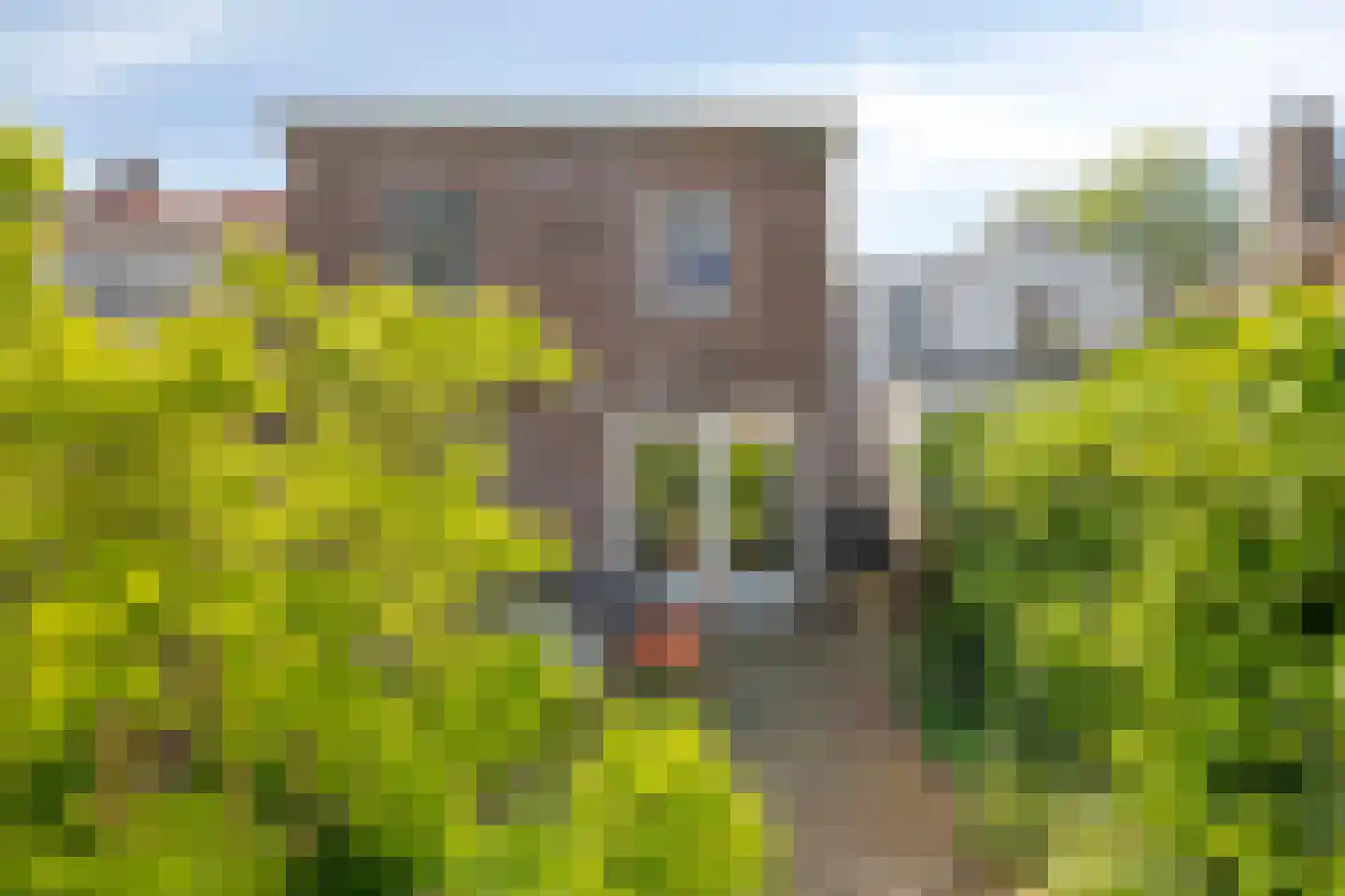 Wilhelminapark 101 Tilburg thumbnail 47