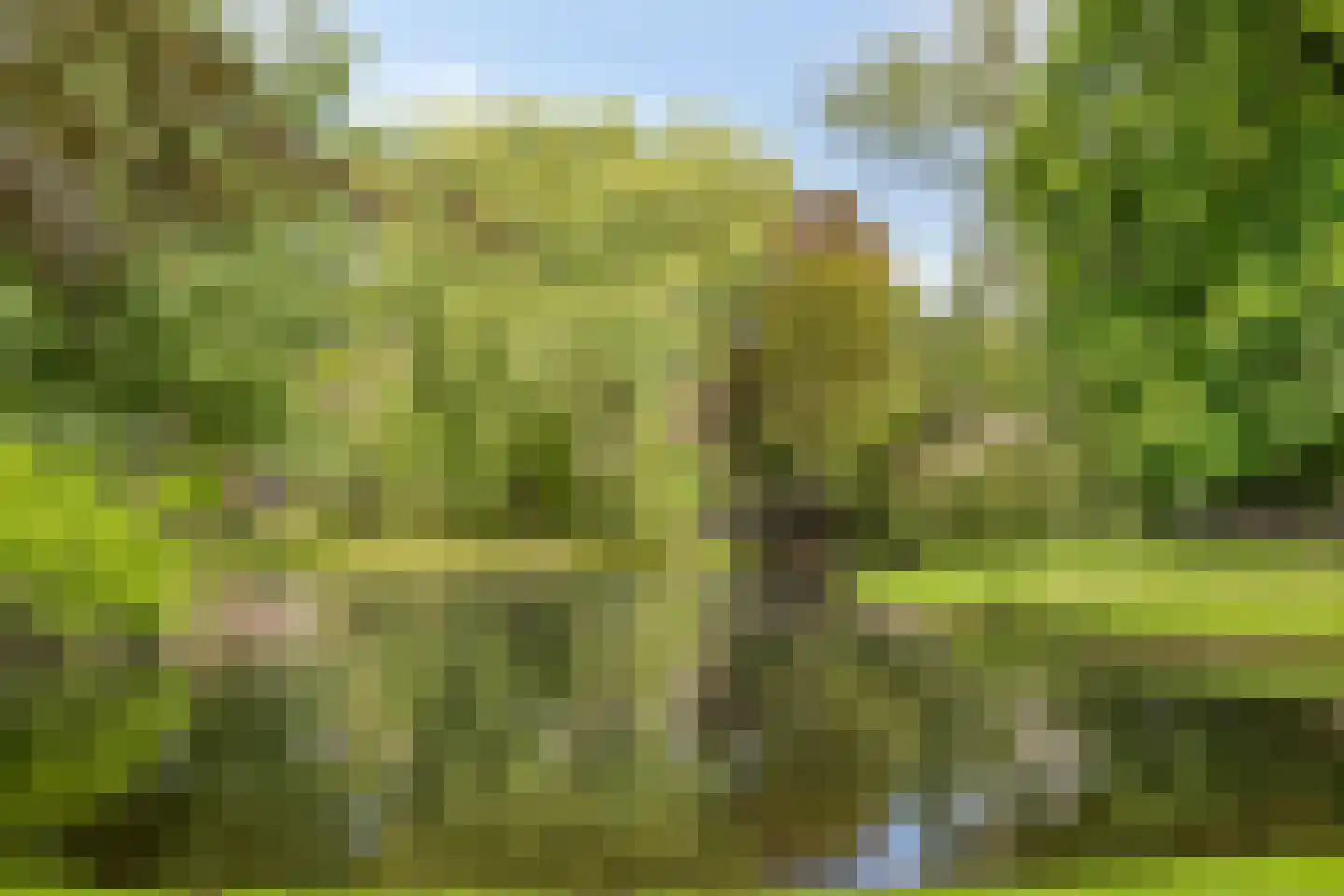 Wilhelminapark 101 Tilburg thumbnail 55