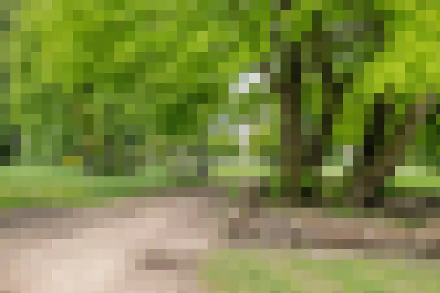 Wilhelminapark 101 Tilburg thumbnail 56