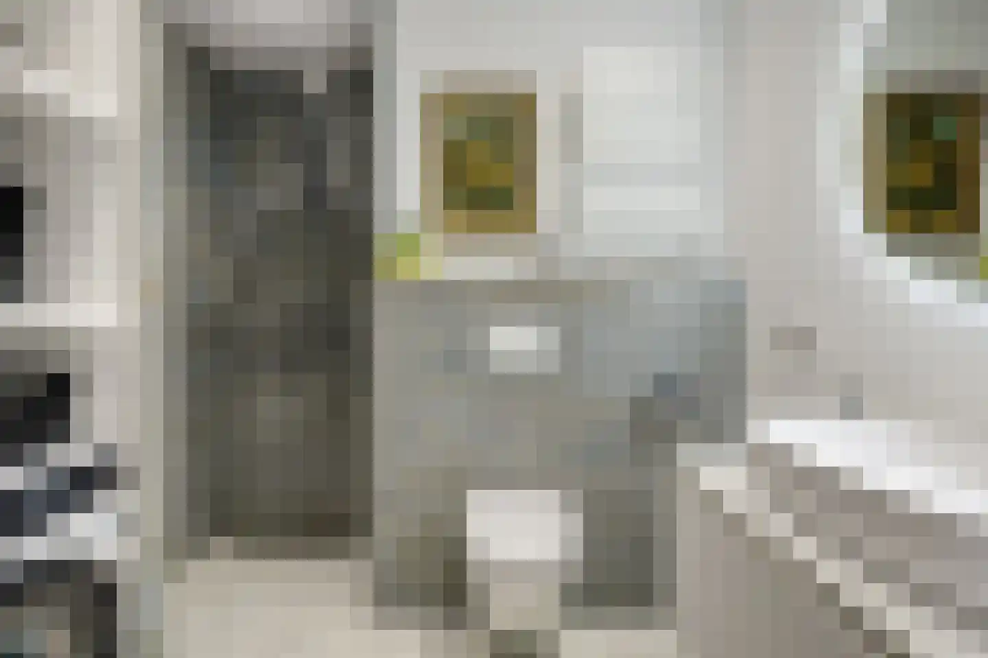Wilhelminapark 15 d Tilburg thumbnail 15
