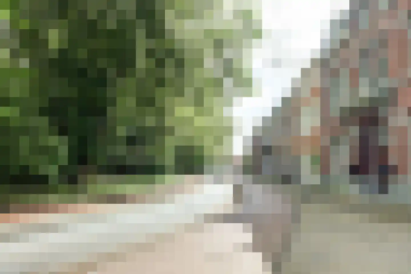 Wilhelminapark 15 d Tilburg thumbnail 23