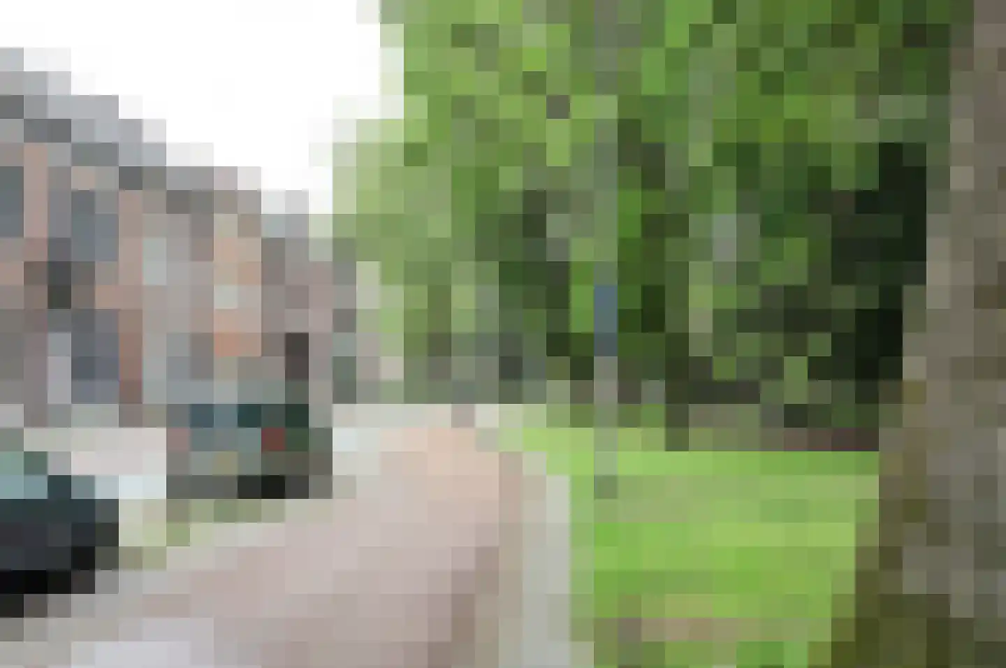 Wilhelminapark 15 d Tilburg thumbnail 24