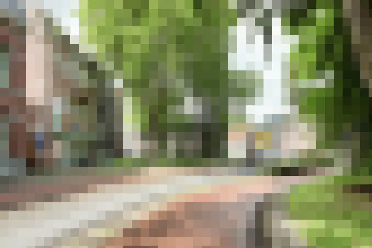 Wilhelminapark 15 d Tilburg thumbnail 25