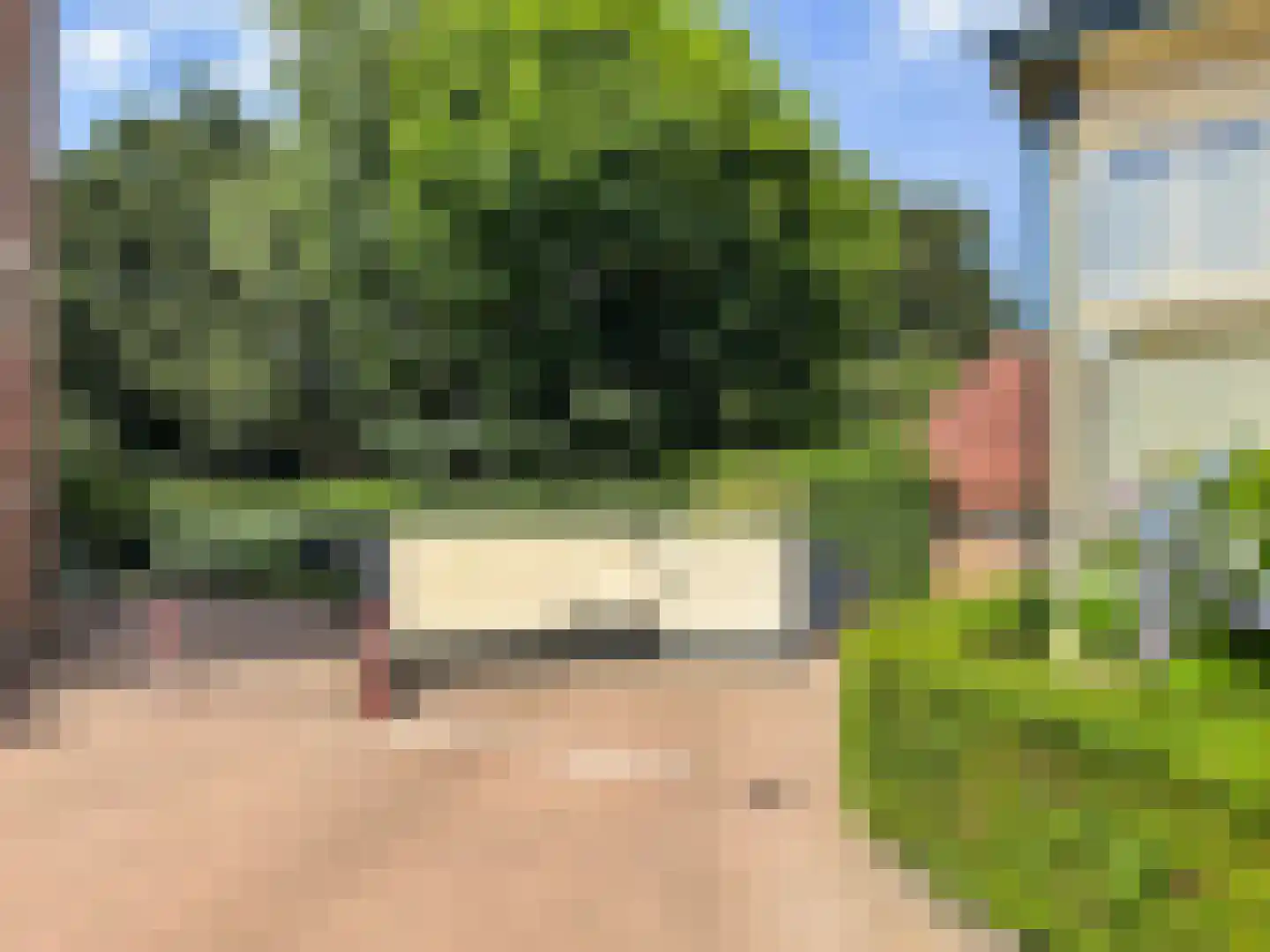 Wilhelminapark 25 Apeldoorn thumbnail 24