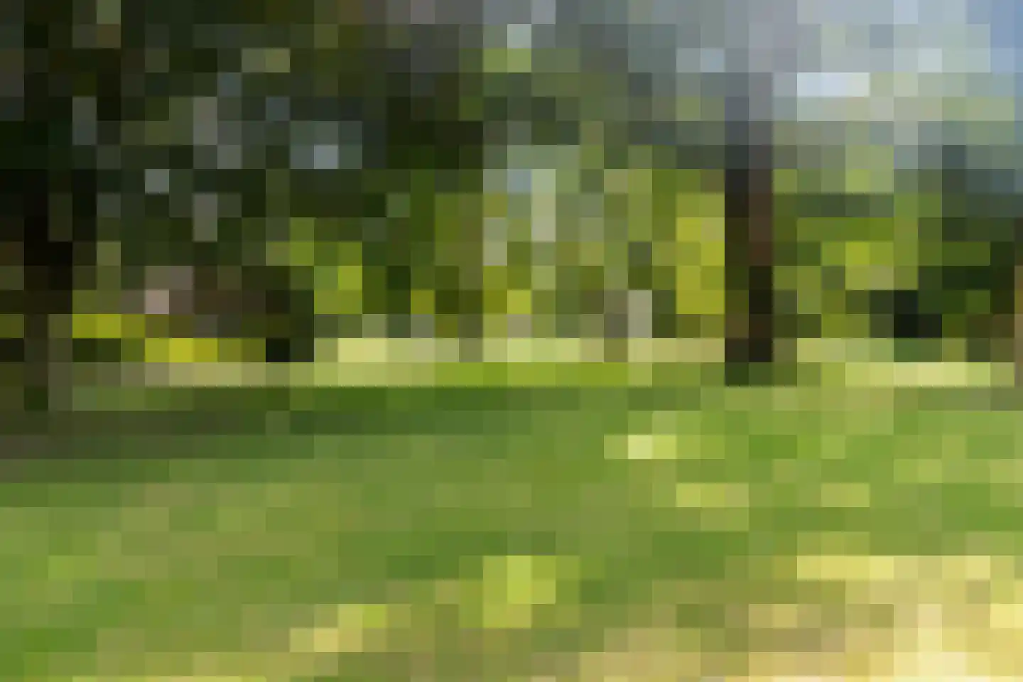 Wilhelminapark 25 Apeldoorn thumbnail 29