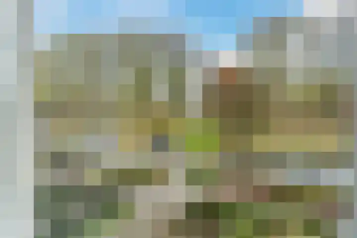 Wilhelminapark 26 Valkenswaard thumbnail 35