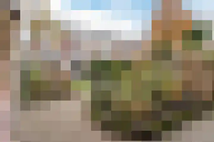 Wilhelminapark 26 Valkenswaard thumbnail 39