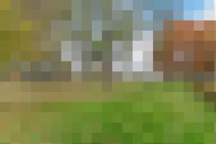Wilhelminapark 26 Valkenswaard thumbnail 40