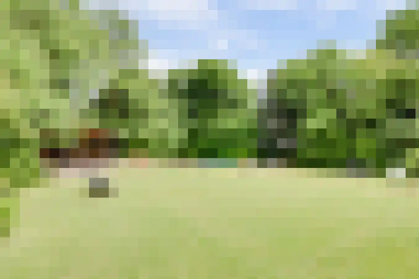 Wilhelminapark 26 Venlo thumbnail 39