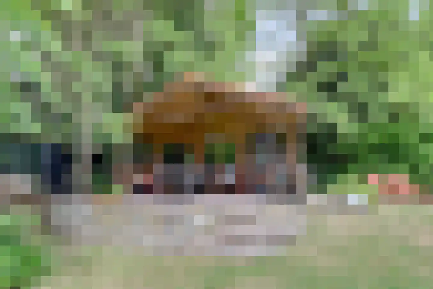 Wilhelminapark 26 Venlo thumbnail 41