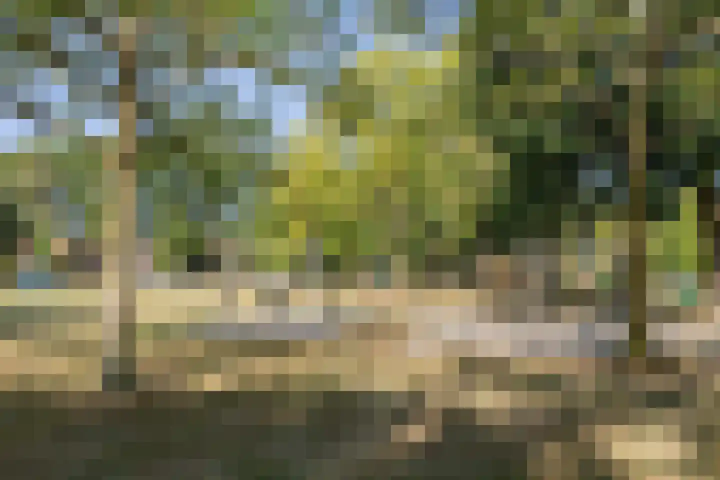 Wilhelminapark 31 Valkenswaard thumbnail 52