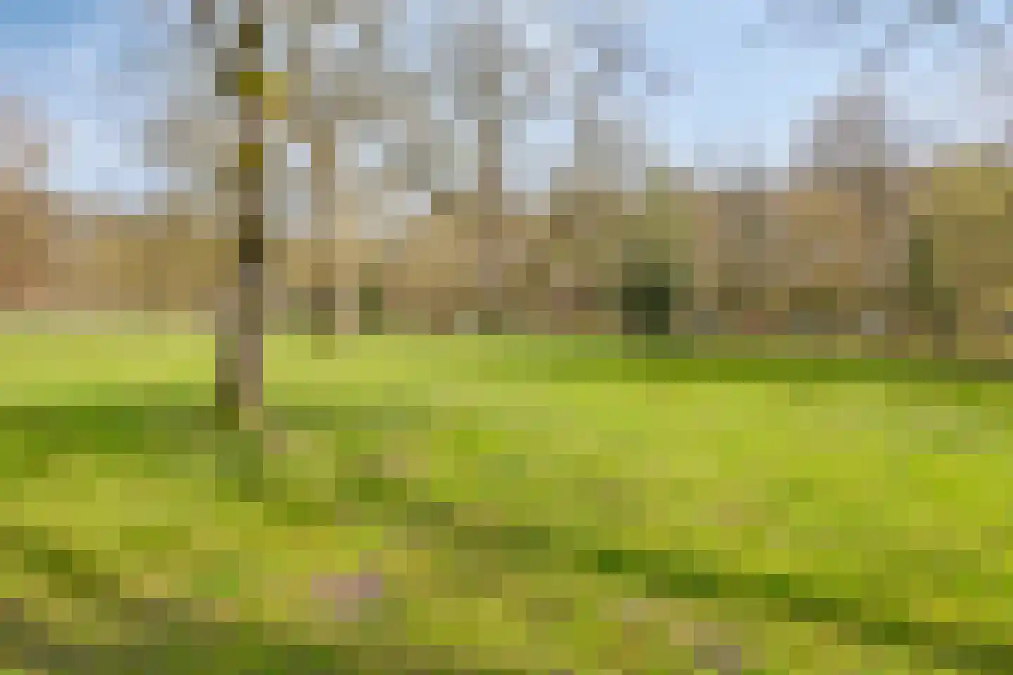 Wilhelminapark 39 Apeldoorn thumbnail 20