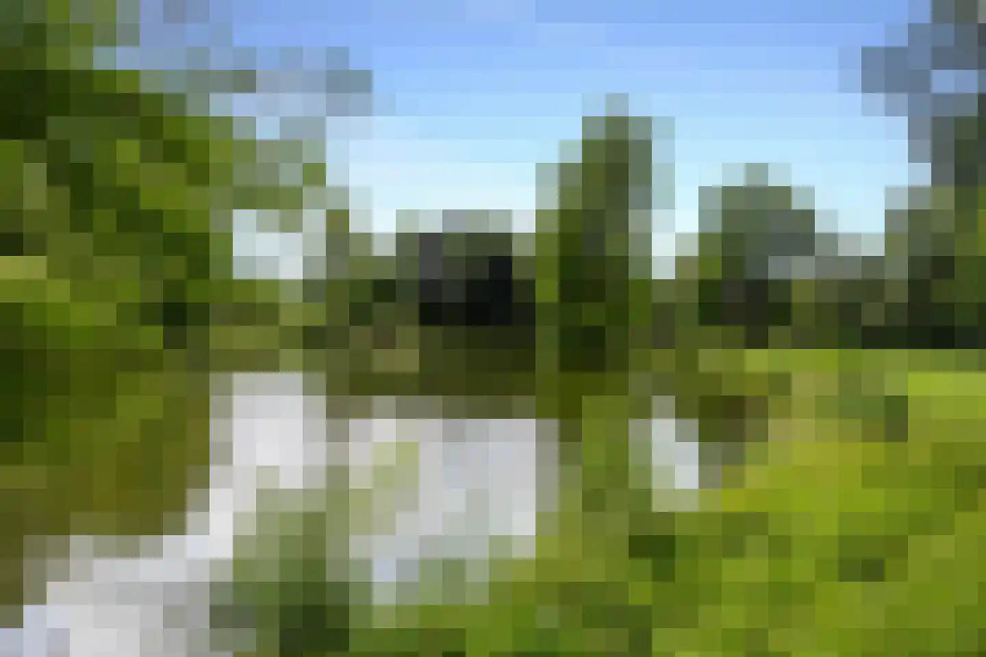 Wilhelminapark 5 C Utrecht thumbnail 25